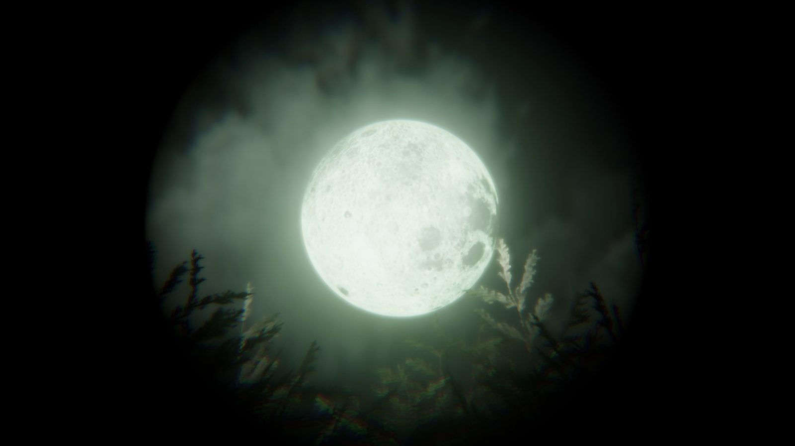 Full moon over the dark forest